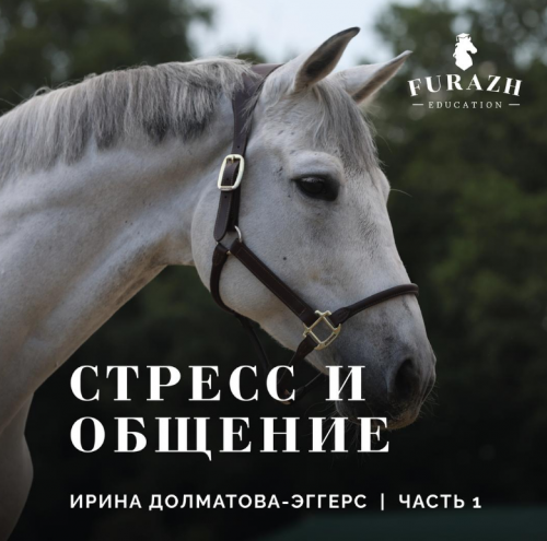 Лекция: Психология лошади _ Часть 1. Стресс и общение лошади с человеком